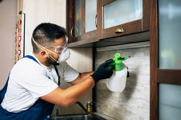 Best Emergency Pest Control  in St John, MO