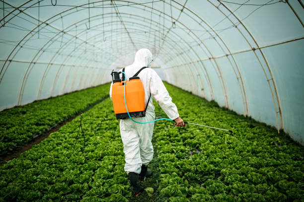 Best Affordable Pest Control Services  in St John, MO