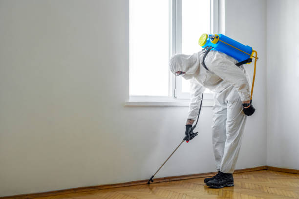 Best Best Pest Control Companies  in St John, MO
