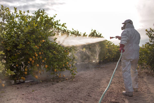 Best Residential Pest Control  in St John, MO