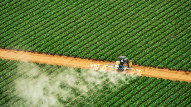 Best Commercial Pest Control Services  in St John, MO
