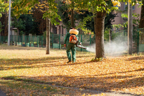 Best Pest Removal Services  in St John, MO